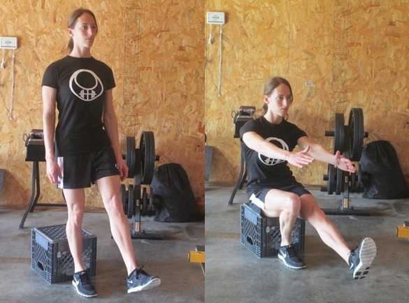 single leg squats to a box