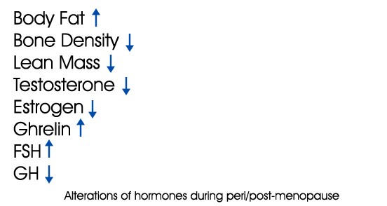 hormone changes during perimenopause