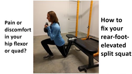 Fix Your Rear Foot Elevated Split Squat 